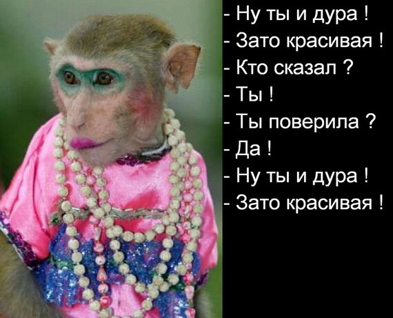 Картинки, картинки ну ты и дура