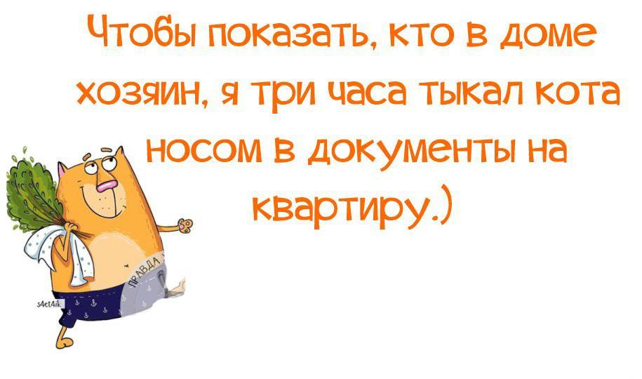 Смешные картинки кто в доме хозяин