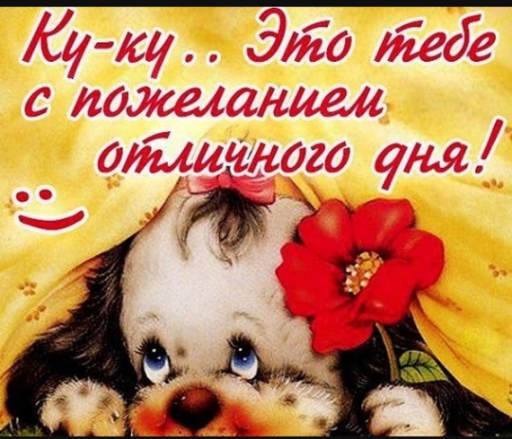 Картинка хорошего дня и отличного настроения для девушки, для мужчины днем