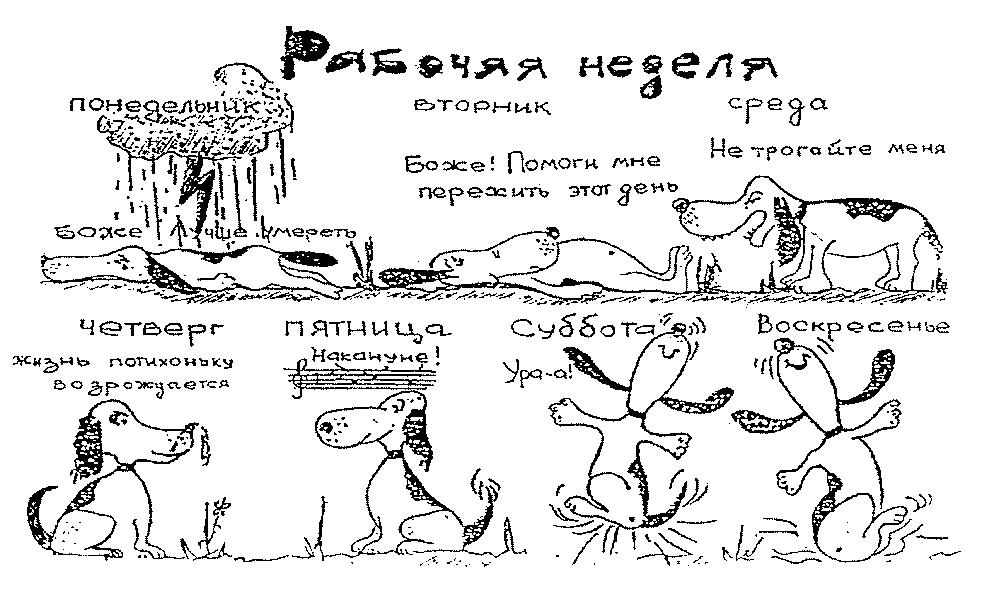 Дни недели с приколами картинки, движениями день