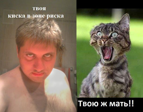 Латиноску дрючат в мокрую киску Латиноску дрючат в мокрую киску