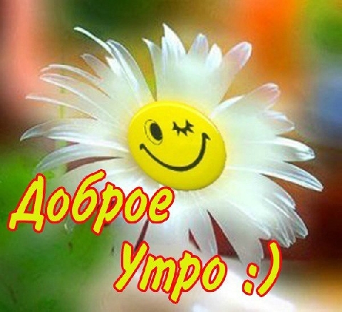 http://f3.mylove.ru/V8vL02Yjc4.jpg