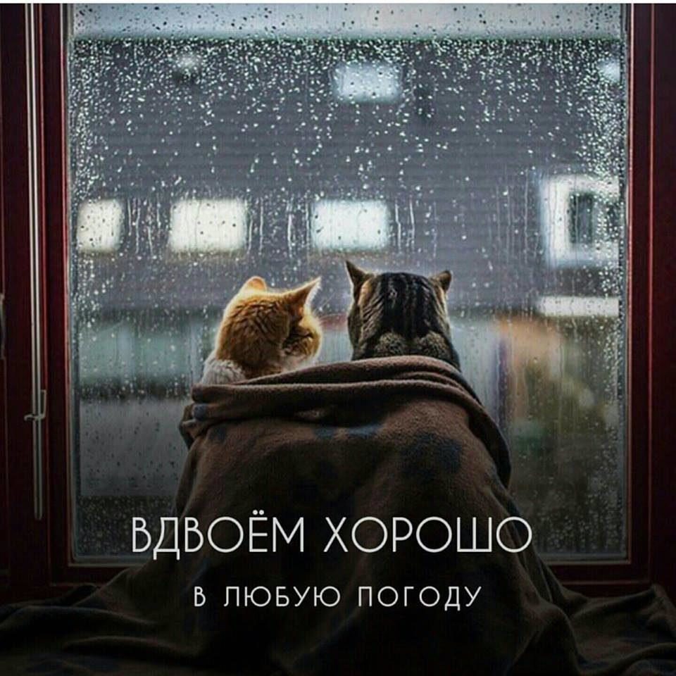 мы вдвоем на фото прикольный стих счёт этого каждый