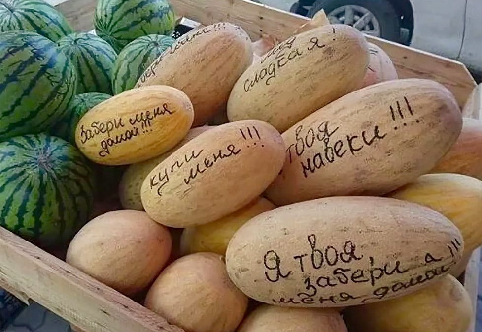 Дыня смешная картинка, картинки