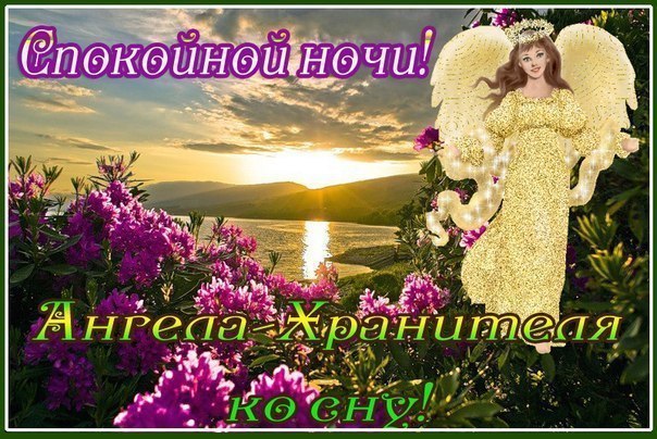 Картинки подруге спокойной ночи, смешные