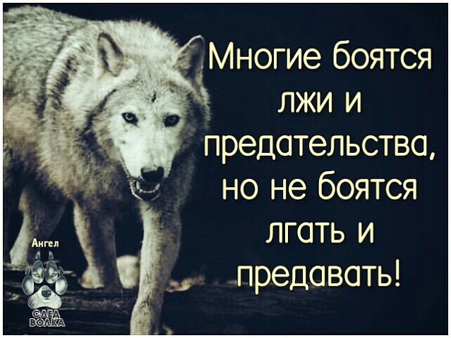 Картинки с надписями про предательство и ложь