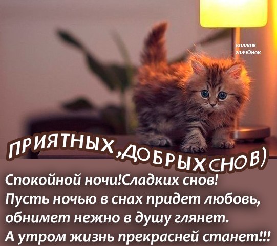 http://f3.mylove.ru/fGJHm1VUmE.jpg