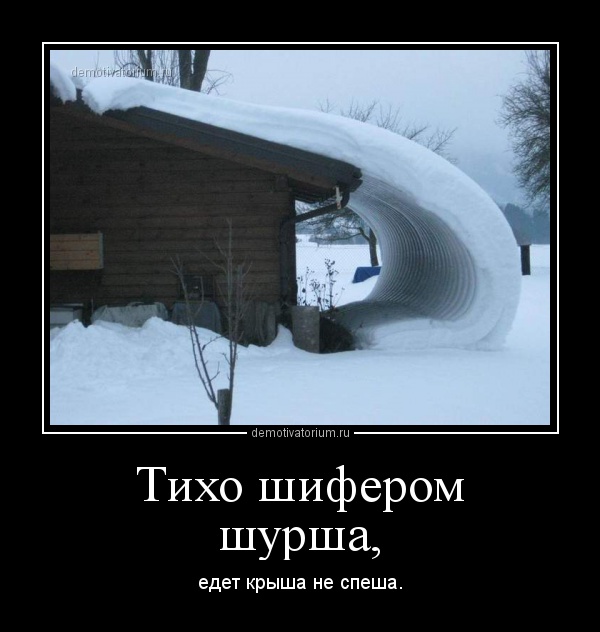 Про, прикольные картинки поехала крыша