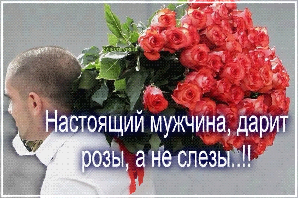Картинки коты, картинки настоящий мужчина дарит розы а не слезы