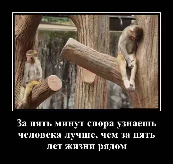 Открытка орхидеи, картинки про ссору с любимым с надписями смешные