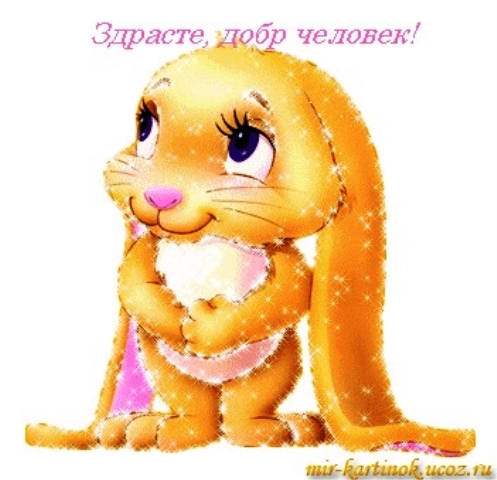 Смешные, солнечный зайчик картинки прикольные