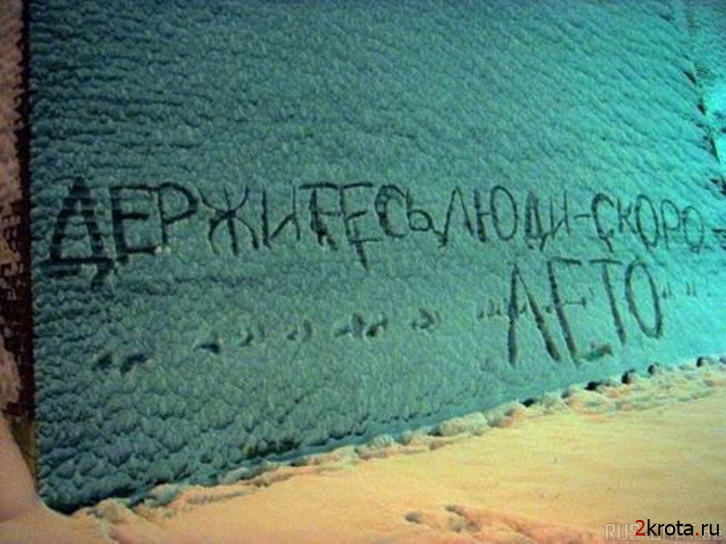 Поздравления, картинки скоро лето смешные с надписями