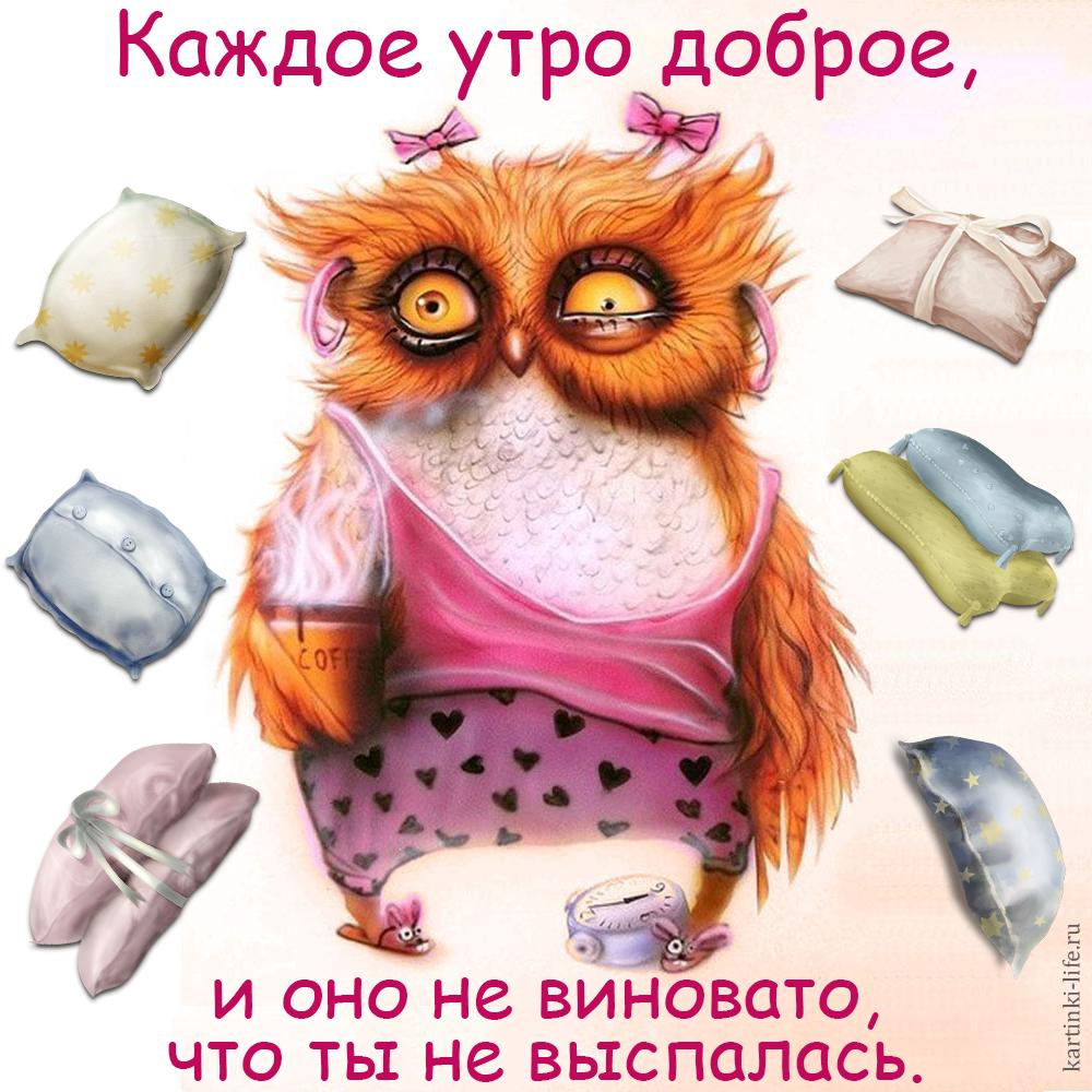 Прикольные картинки я не выспался