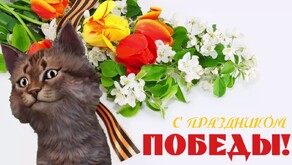 Анимация коты с днем победы, картинки надписью