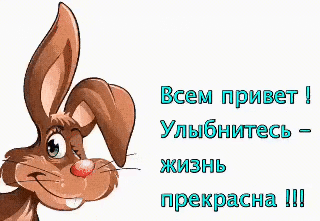 Всем привет прикольная картинка