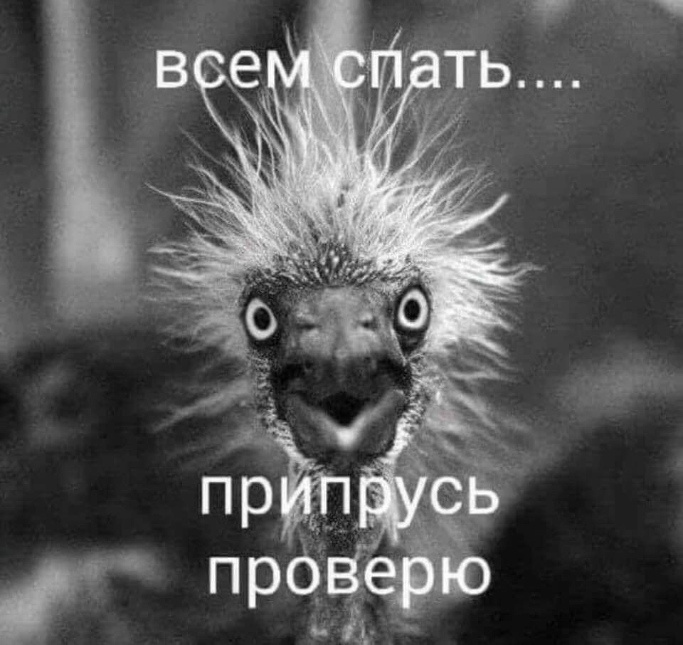 Открытки что не спим, открытки дню
