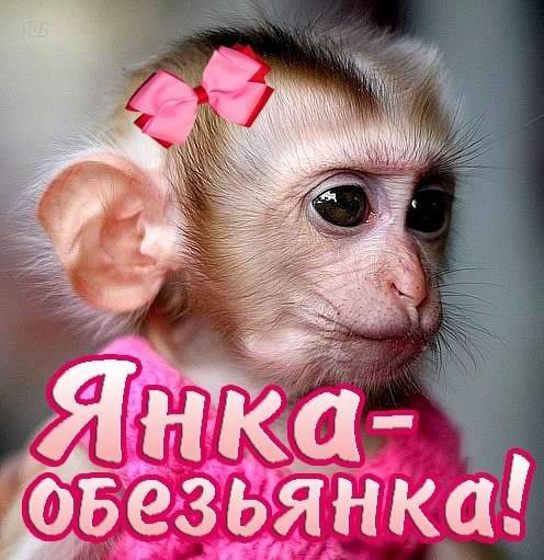 Картинки смешные с именем яна