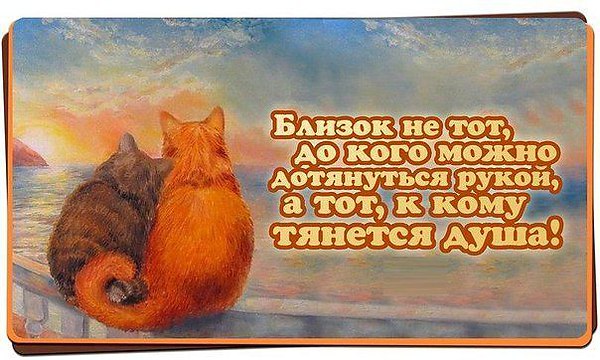 Картинки родной душе, хрюшки открытки днем