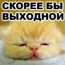 Открытки, скорее бы выходные картинки